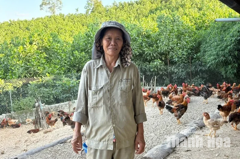 Mẹ nông dân và những mùa quả ngọt