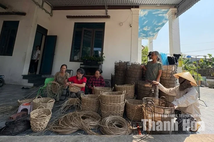 Mẹ nông dân và những mùa quả ngọt