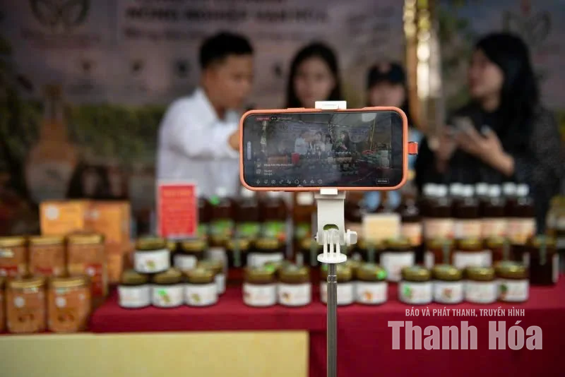 Xứ Thanh mời bạn những món ngon