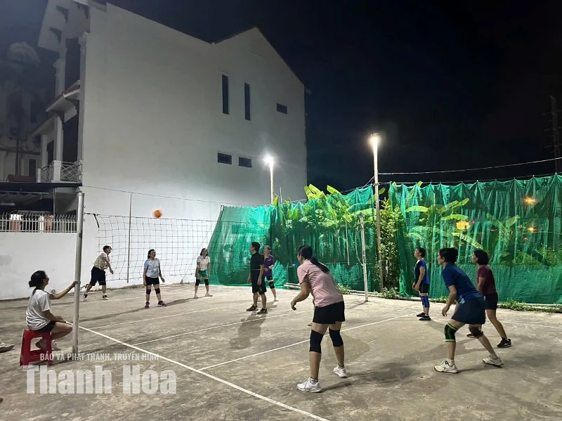 Những bông hồng trên sân bóng chuyền hơi
