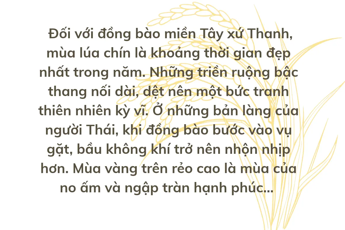 [E-Magazine] Mùa vàng trên rẻo cao