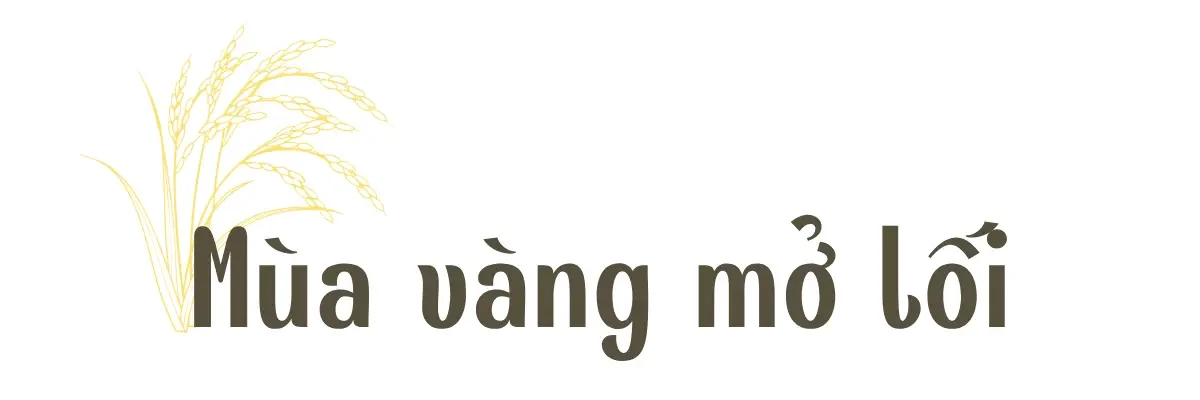 [E-Magazine] Mùa vàng trên rẻo cao