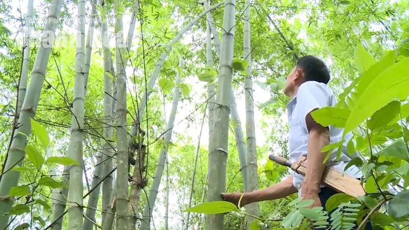 [Thanh Hóa xưa và nay] Mạch sống xanh của miền Tây xứ Thanh