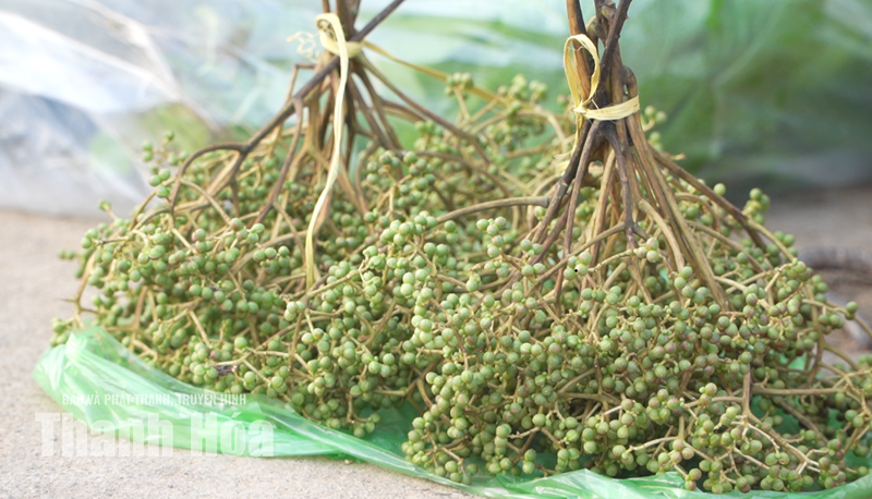 Nét đẹp chợ phiên Ngàm Pốc
