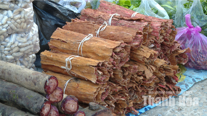 Nét đẹp chợ phiên Ngàm Pốc