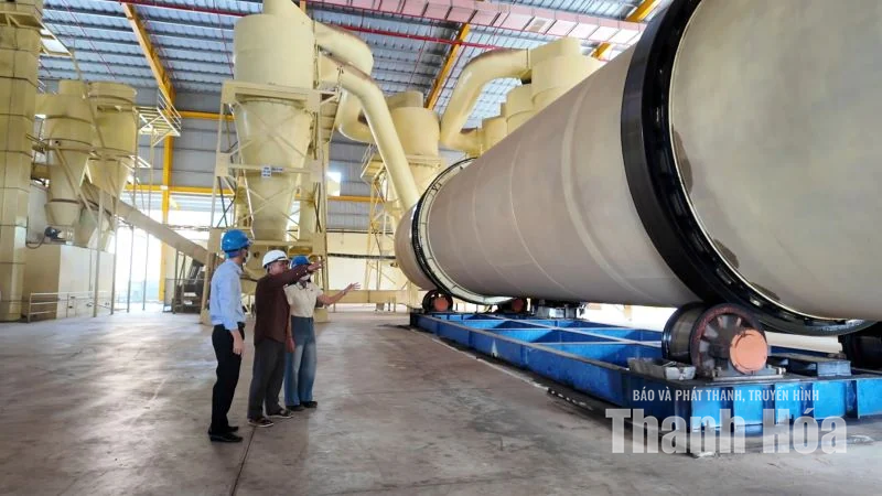 Từ vệt xanh đại ngàn đến cơ sở chế biến gỗ keo