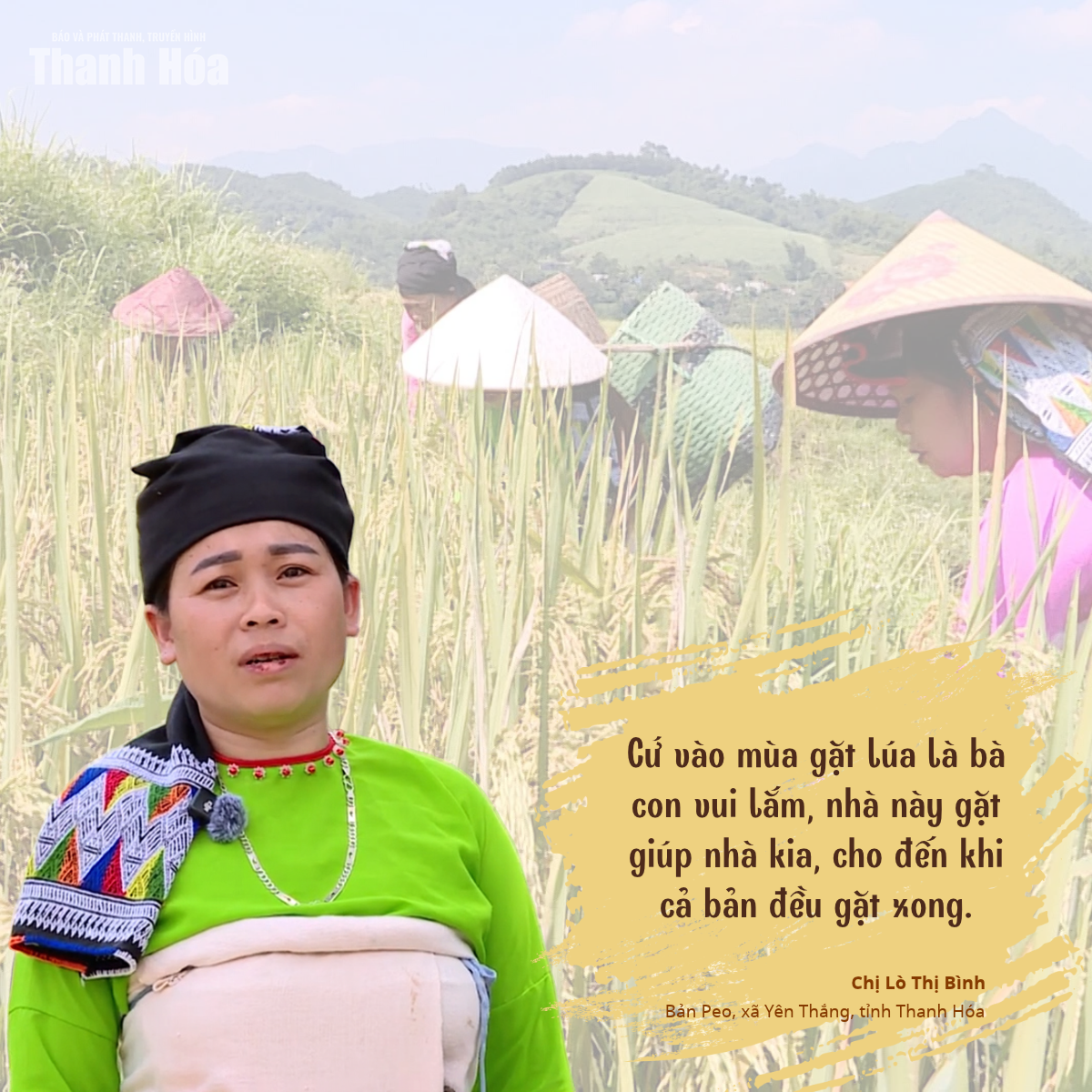 [E-Magazine] Mùa vàng trên rẻo cao