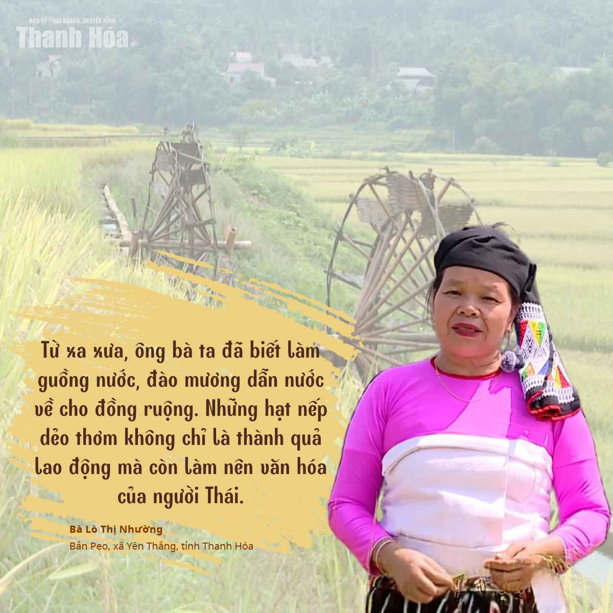 [E-Magazine] Mùa vàng trên rẻo cao