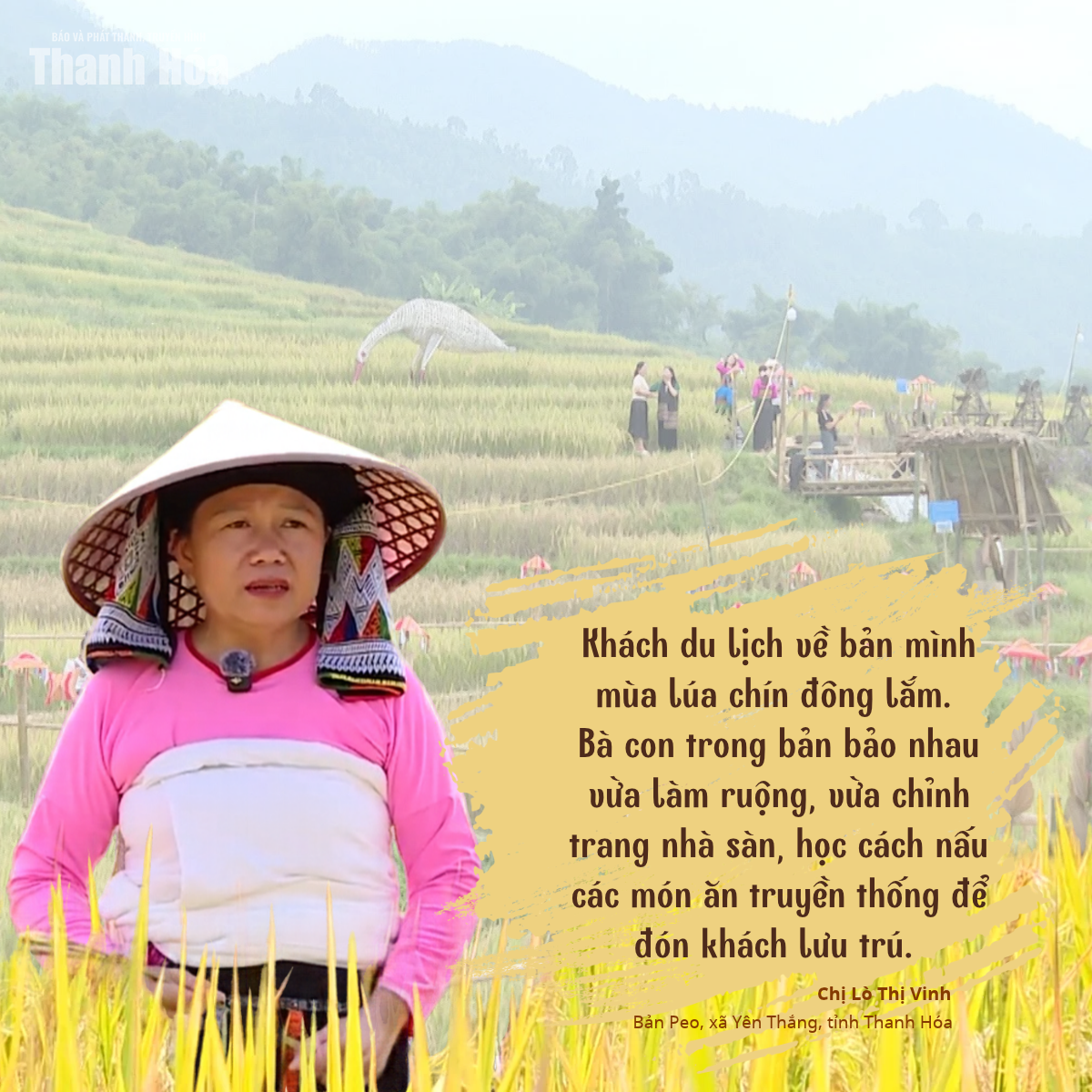 [E-Magazine] Mùa vàng trên rẻo cao