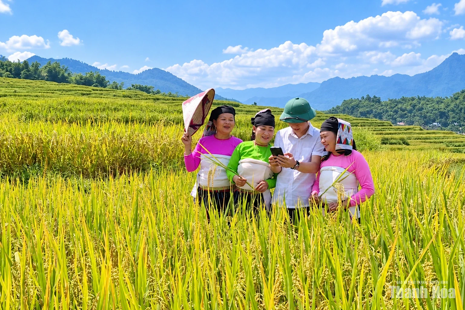 [E-Magazine] Mùa vàng trên rẻo cao