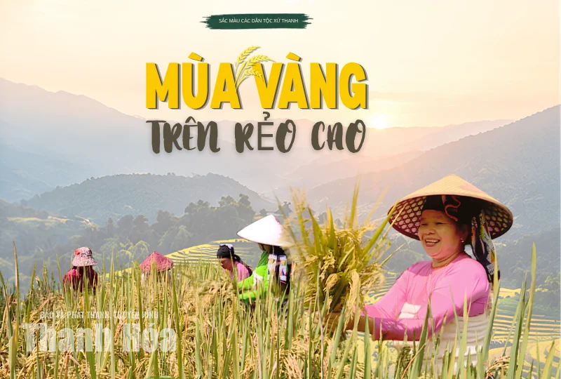 [E-Magazine] Mùa vàng trên rẻo cao