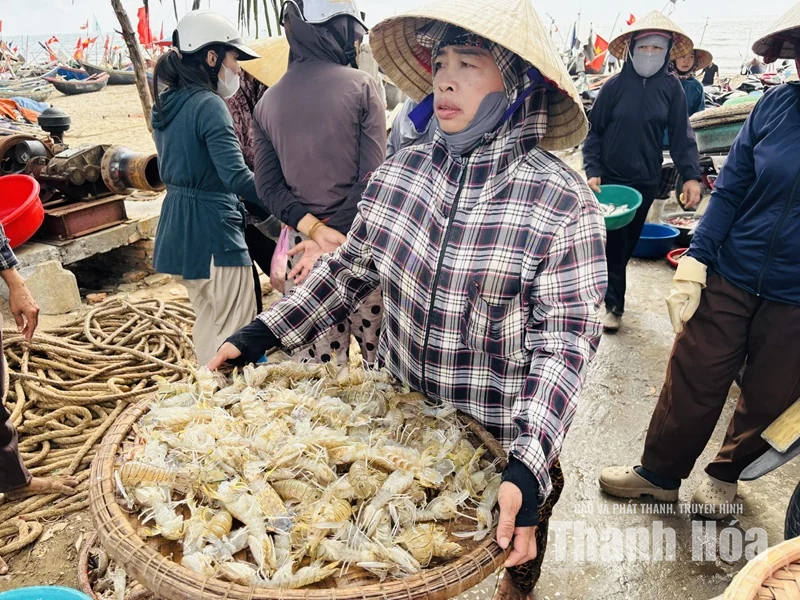 Neo đời mình bên chân sóng
