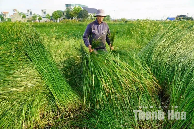 [Thanh Hóa xưa và nay] Nghề xưa đồng hành cùng cuộc sống hiện đại