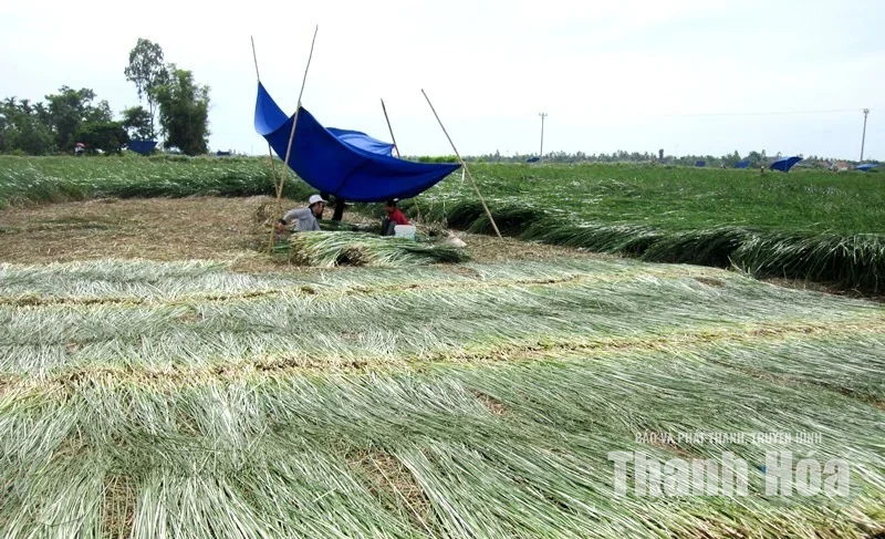 [Thanh Hóa xưa và nay] Nghề xưa đồng hành cùng cuộc sống hiện đại